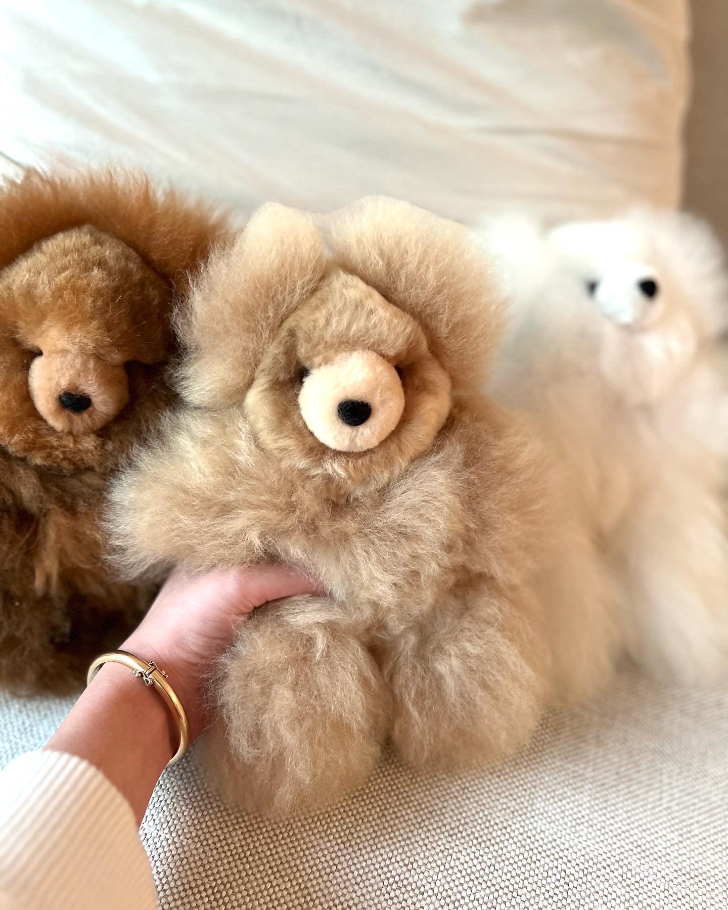 BABY ALPACA TEDDIES