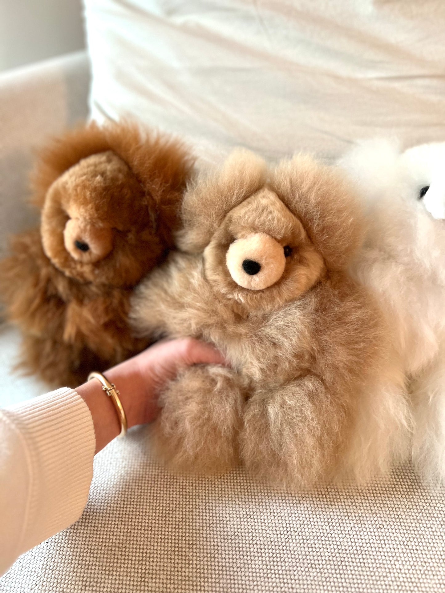 BABY ALPACA TEDDIES